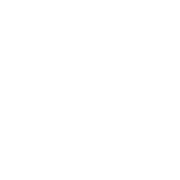 Elleve